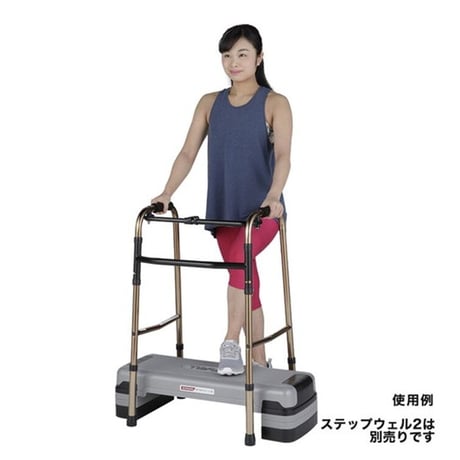 ステップ運動用補助手すり