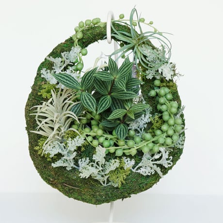 MOSS BAG（苔かご） 多肉シリーズMサイズ