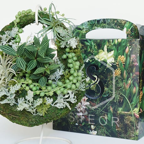 MOSS BAG（苔かご） 多肉シリーズMサイズ