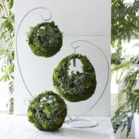 MOSS BAG（苔かご） 多肉シリーズMサイズ