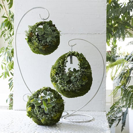 MOSS BAG（苔かご） 多肉シリーズMサイズ
