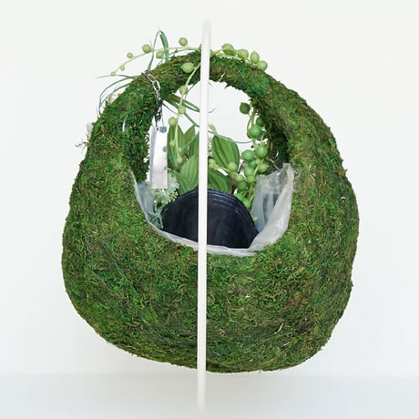 MOSS BAG（苔かご） 多肉シリーズMサイズ