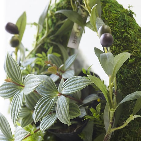 MOSS BAG（苔かご）　ユーカリシリーズSサイズ