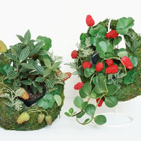 MOSS BAG（苔かご） ベリーシリーズSサイズ