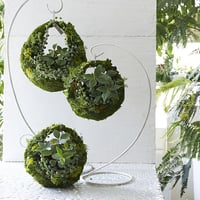 MOSS BAG（苔かご） 多肉シリーズSサイズ
