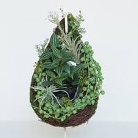 MOSS BAG（苔かご） 多肉T（ティアーズ）シリーズ