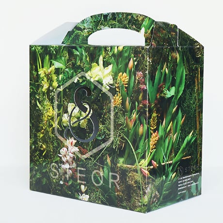MOSS BAG（苔かご）　ユーカリシリーズSサイズ