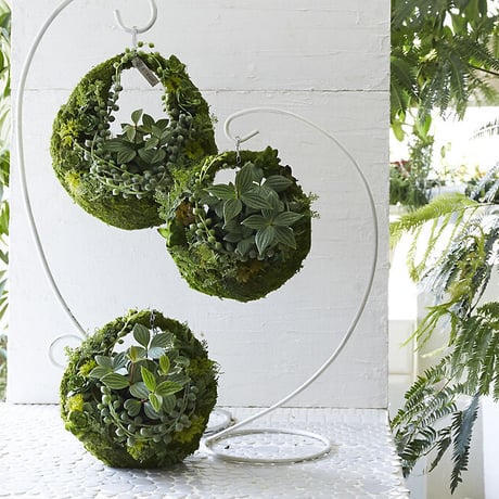 MOSS BAG（苔かご） 多肉シリーズMサイズ