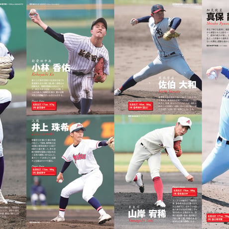 スタンダード新潟＜2024年夏号：高校野球特集＞