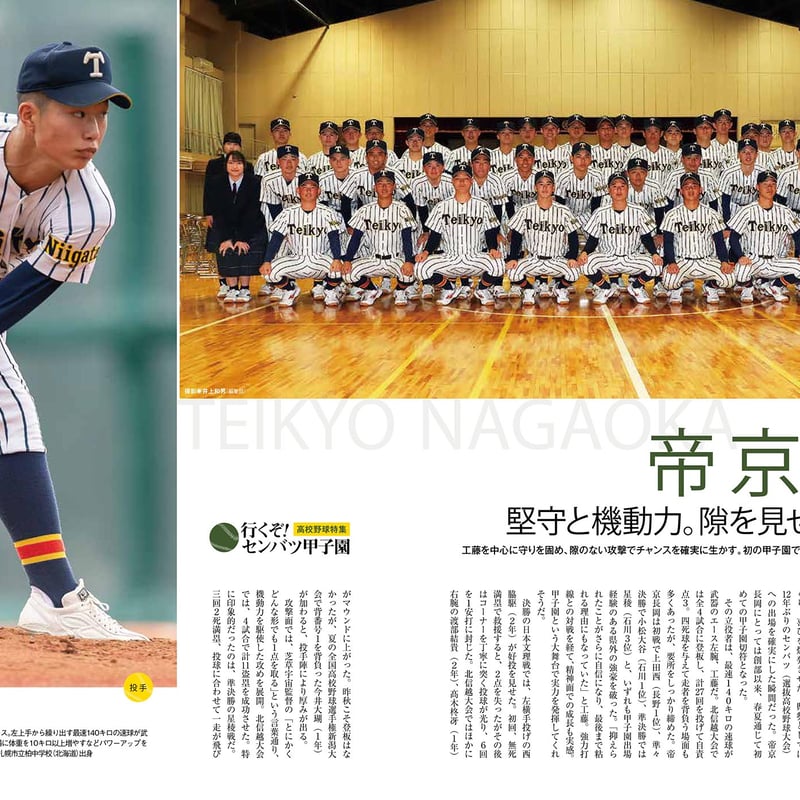 2026.3.20春花原野 新潟産上質蛋白石 【公式通販】