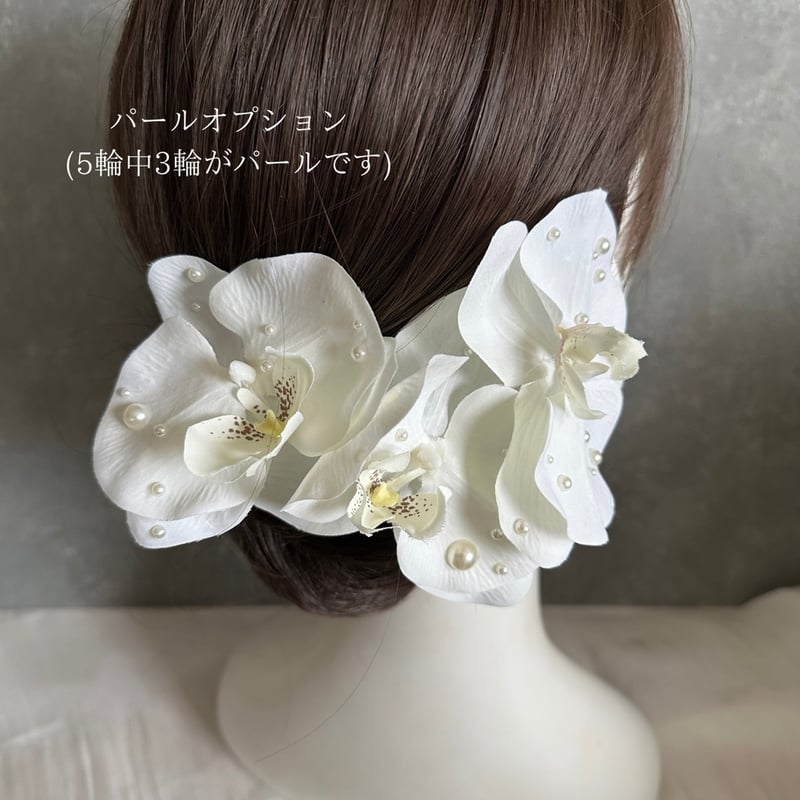 1週間以内発送】胡蝶蘭5輪セット/ パール胡蝶蘭/水引金箔セット 1週間以内発送】胡蝶蘭5輪セット/ パール胡蝶蘭/水引金箔セット