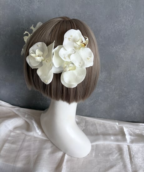 【10日以内発送】胡蝶蘭5輪セット/ パール胡蝶蘭/水引金箔セット可