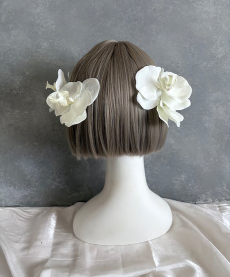 【10日以内発送】胡蝶蘭5輪セット/ パール胡蝶蘭/水引金箔セット可