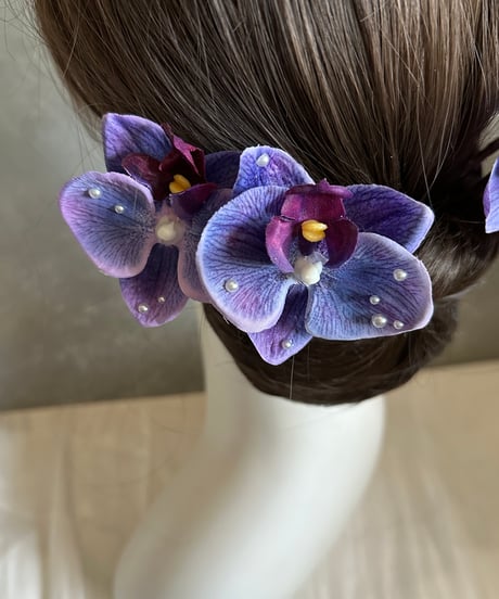 【1週間以内発送】パール胡蝶蘭 blue purple