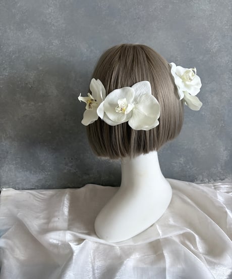 【10日以内発送】胡蝶蘭5輪セット/ パール胡蝶蘭/水引金箔セット可