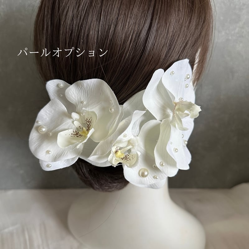 香蘭社　胡蝶蘭　パーティーセット　未使用品　共箱 香蘭社 胡蝶蘭 パーティーセット 未使用品 共箱 食器