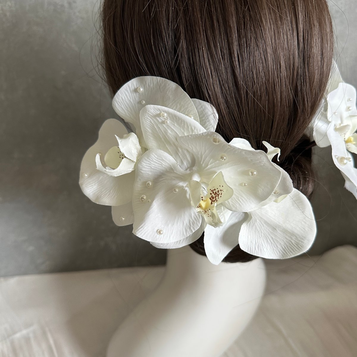 1週間以内発送】胡蝶蘭5輪セット/ パール胡蝶蘭/水引金箔セット