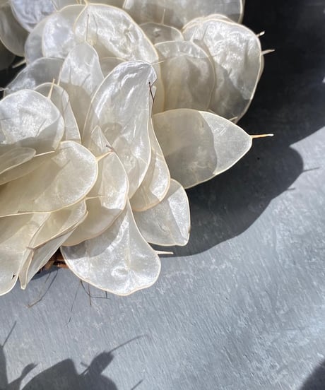 Lunaria  wreath -crystal-