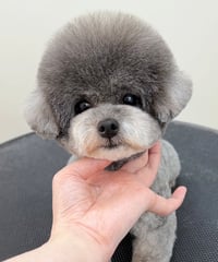 韓国アレンジセミナー