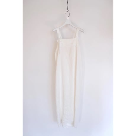 Cygnes / white