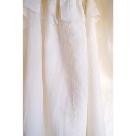 Cygnes / white