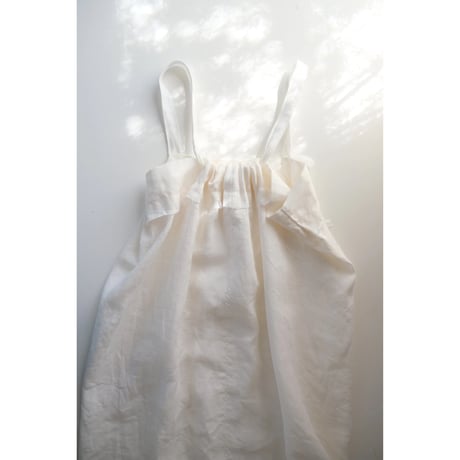 Cygnes / white