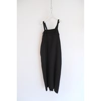Cygnes / black
