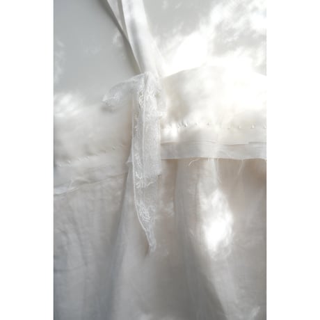 Cygnes / white
