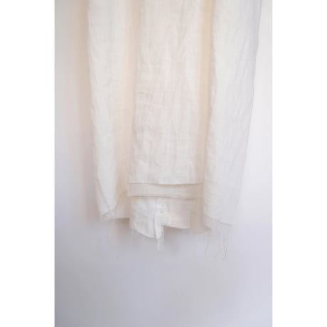 Cygnes / white