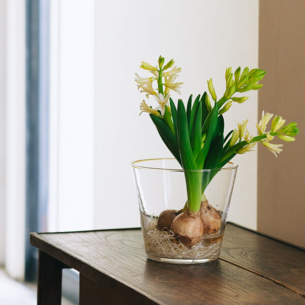 追加販売】ミモレ別注・Sghrフラワーベース2種セット【期間限定