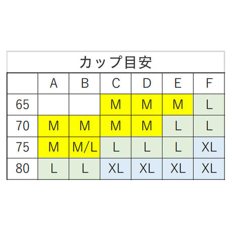 エブリデイ吸水ショーツとブラ＜ブラック＞