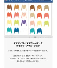 スプリングトップスWordデータカラバリ_aw