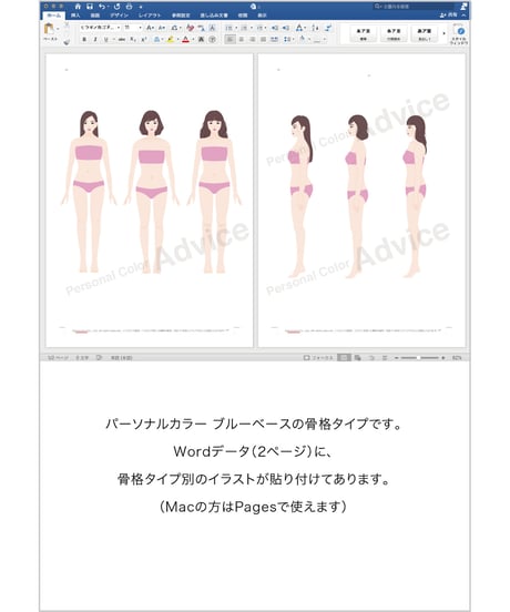 骨格タイプWordデータ　正面・横（ブルーベース）