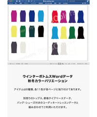 ウインターボトムスWordデータカラバリ_aw