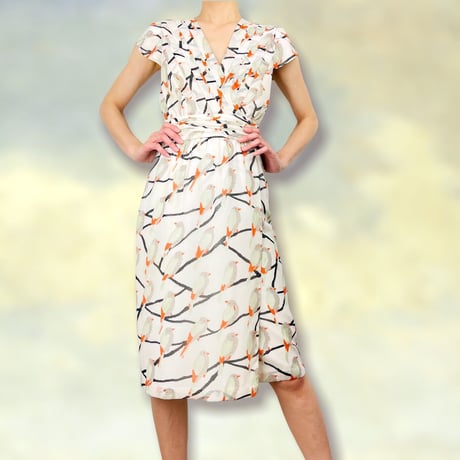 Silk Chiffon Bird Print Dress