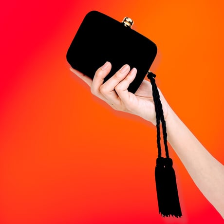 Black Velvet Purse
