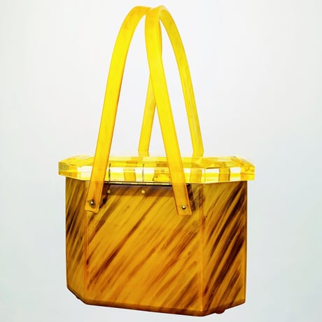 50’s Gold Lucite Bag