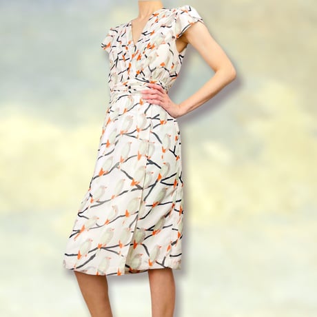 Silk Chiffon Bird Print Dress