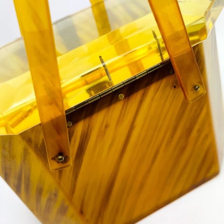 50’s Gold Lucite Bag