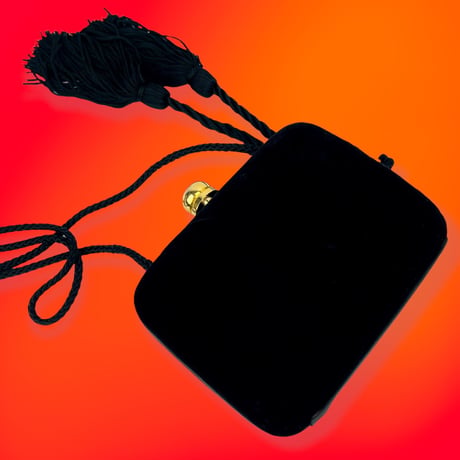 Black Velvet Purse