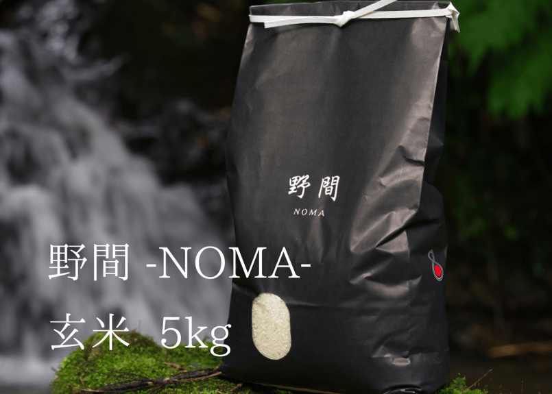玄米】2025年(R7)産 京丹後 野間地区産 幻のコシヒカリ『野間 -NOMA