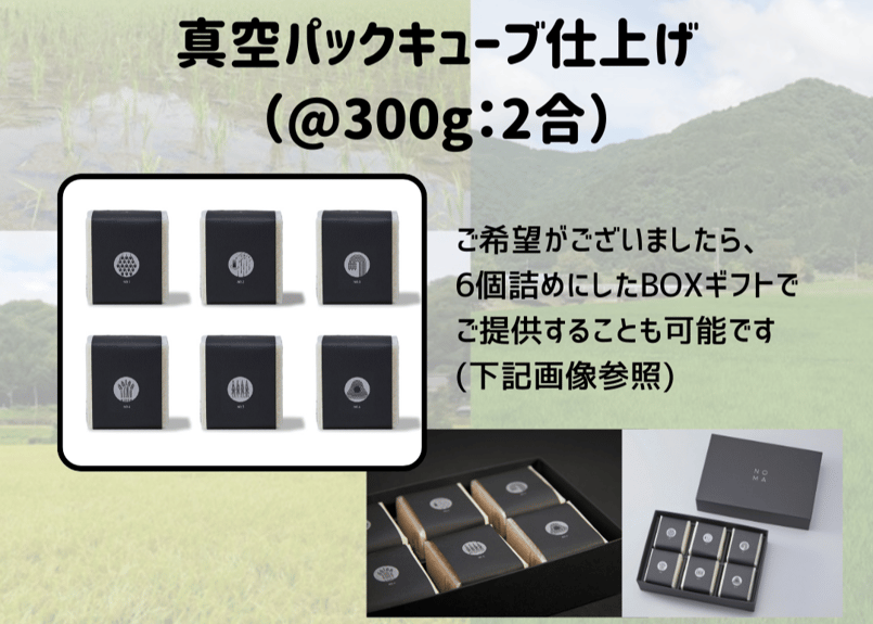 数量限定!!【区画オーナープラン】令和7年度産 幻のコシヒカリ『野間