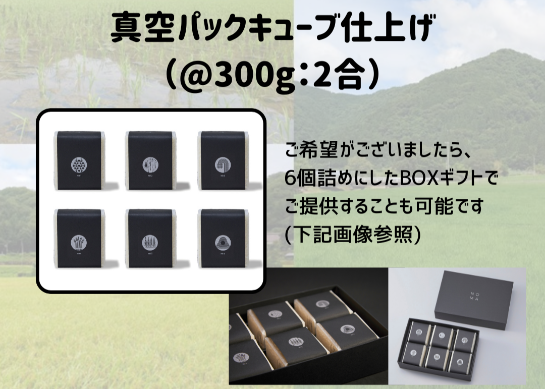 数量限定!!【区画オーナープラン】令和7年度産 幻のコシヒカリ