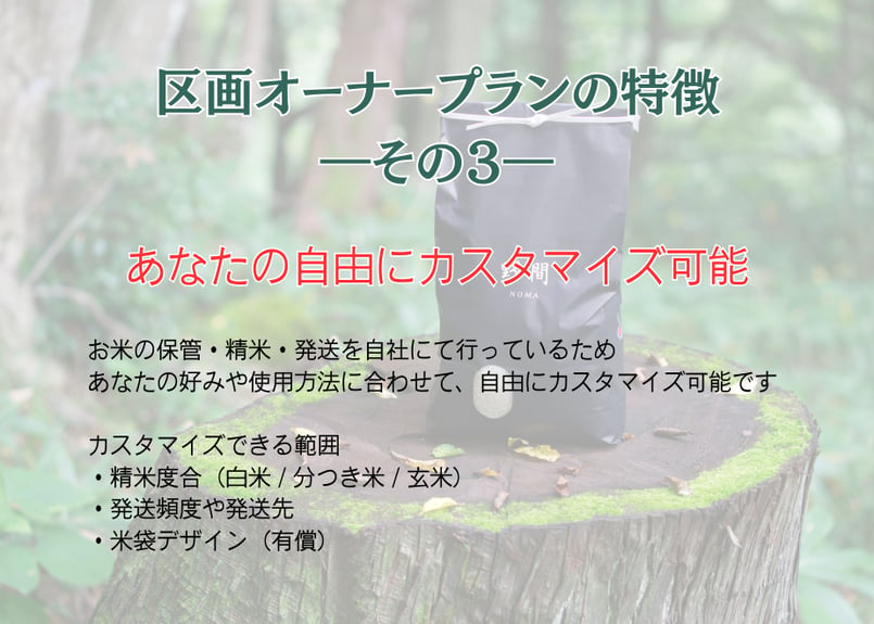 数量限定!!【区画オーナープラン】2026年(令和8年)産 幻のコシヒカリ 数量限定!!【区画オーナープラン】2026年(令和8年)産 幻のコシヒカリ