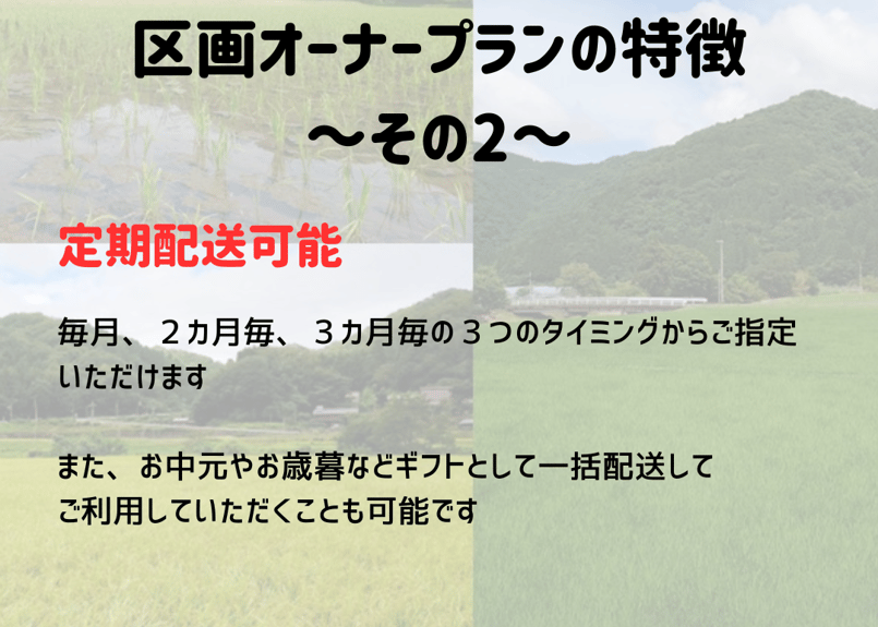 数量限定!!【区画オーナープラン】令和7年度産 幻のコシヒカリ『野間