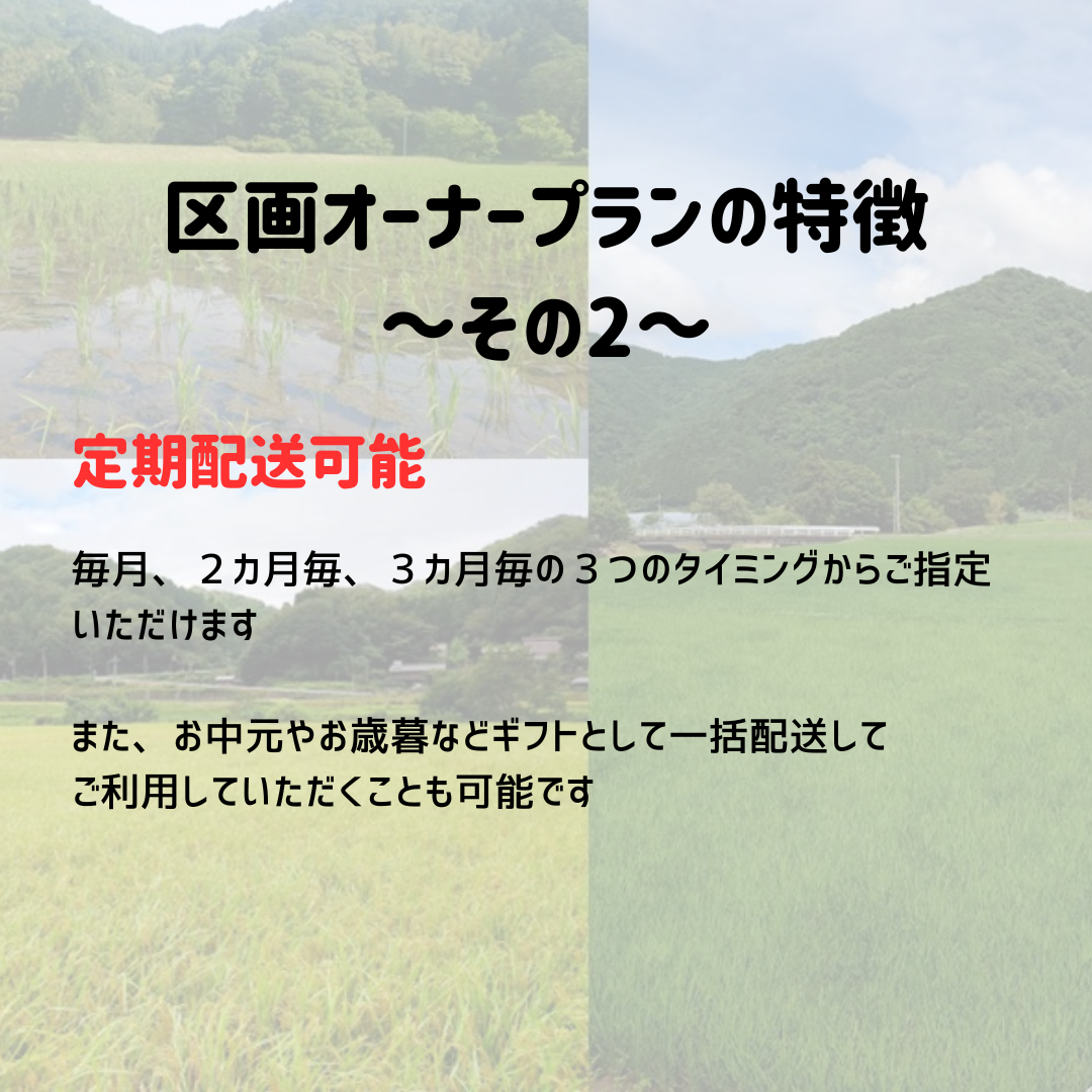 こわまり様【リピーター様⑦点おまとめ−200円】 こわまり様【リピーター様⑦点おまとめ−200円】
