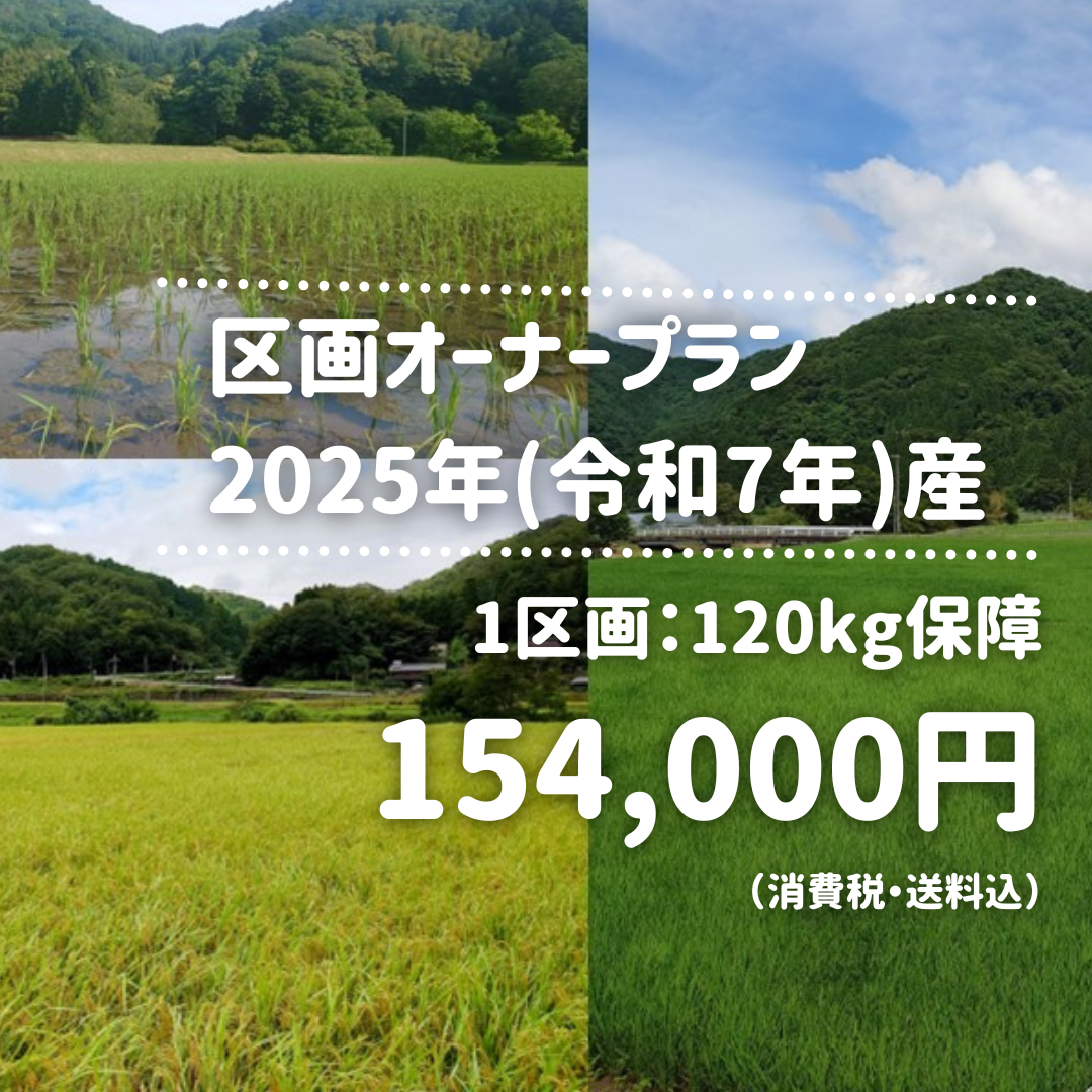 数量限定!!【区画オーナープラン】令和7年度産 幻のコシヒカリ