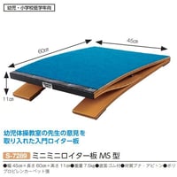 『法人様限定』【スポーツ用品】ミニミニロイター板MS型