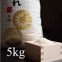 コシヒカリ　飛騨っ晴れ　白米　5kg
