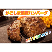 【送料無料】かごしま黒豚ハンバーグ（１２個）